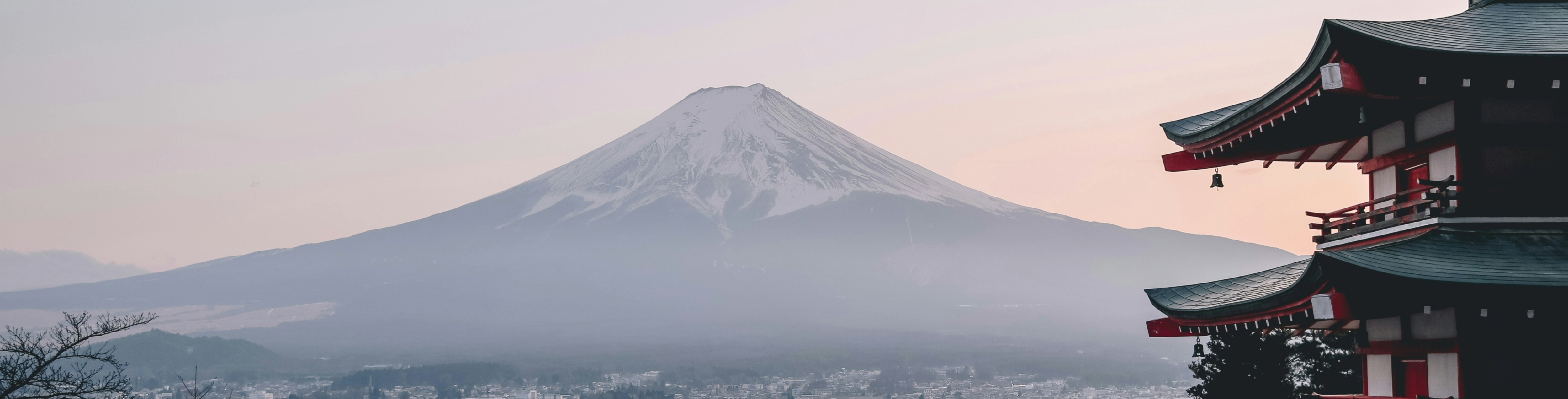 リストの画像